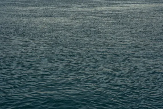 Casino Jackpot Molly Assistance